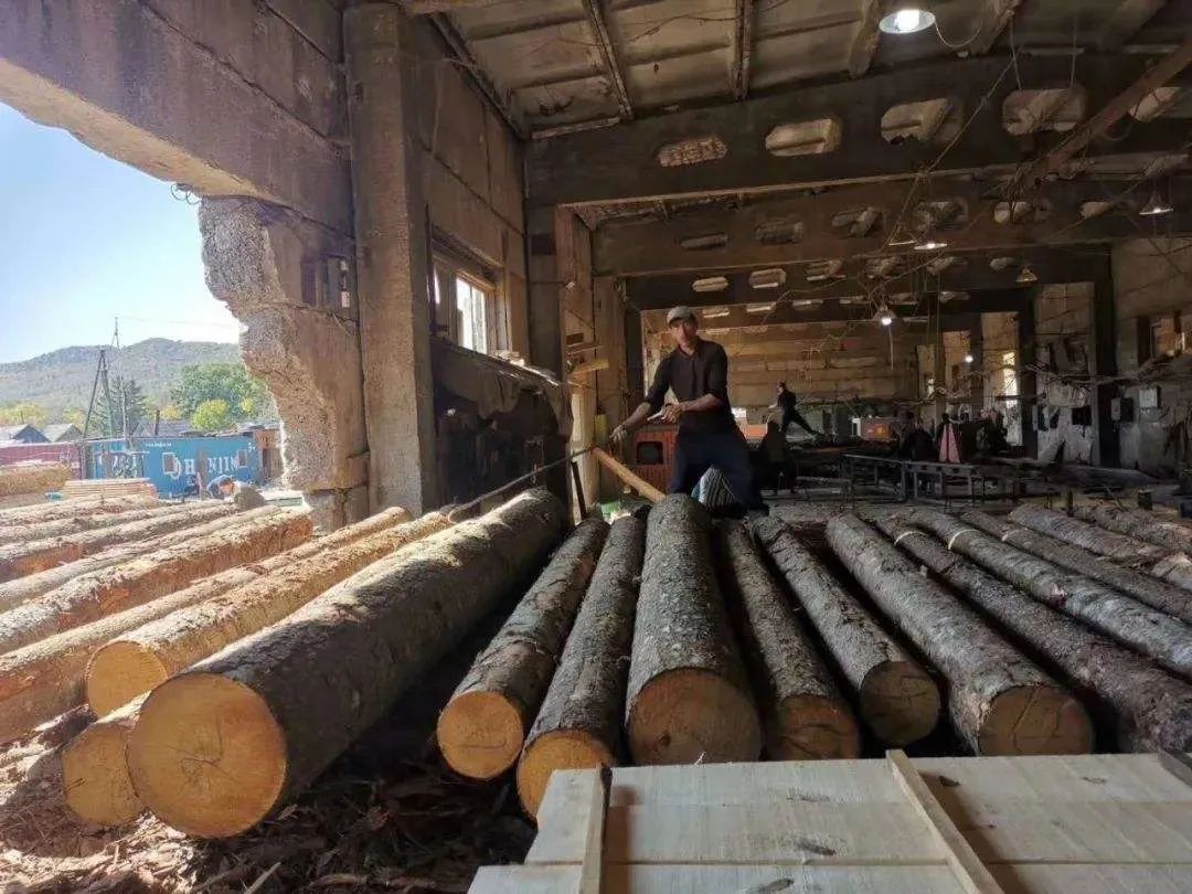 美国木材价格再次波动 ，两周暴跌30%！_1